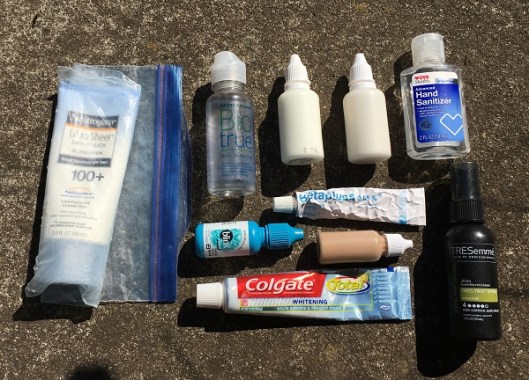 contents of liquids bag