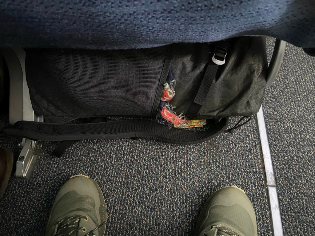 Dragonfly under the seat